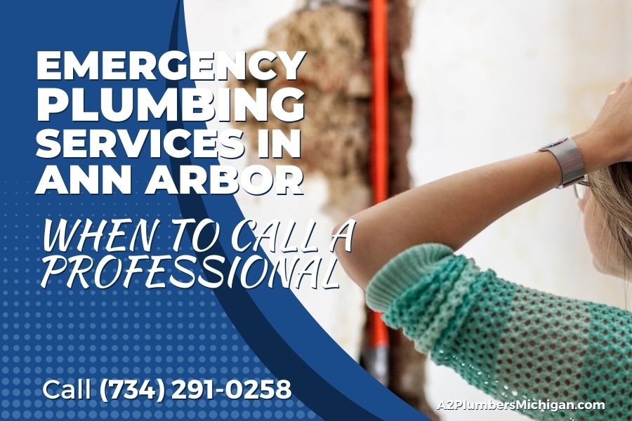 Emergency Plumbing Services in Ann Arbor: When to Call a Professional